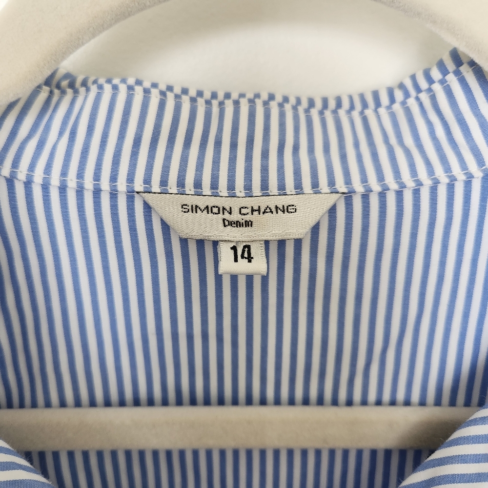 Simon Chang Blue Pinstripe Embroidered Button Down - Picture 4 of 4
